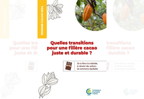 Quelles transitions pour une filière cacao juste et durable ?