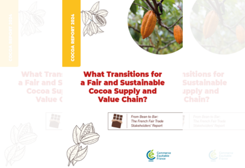 What Transitions for a Fair and Sustainable Cocoa Supply and Value Chain?